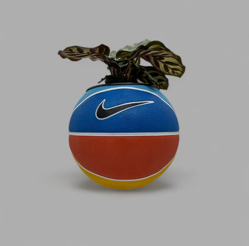 Nike - La Palette Multicolore