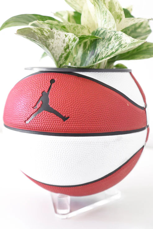 Jordan Swoosh Mini