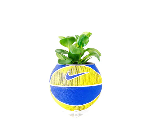 Nike Swoosh Mini