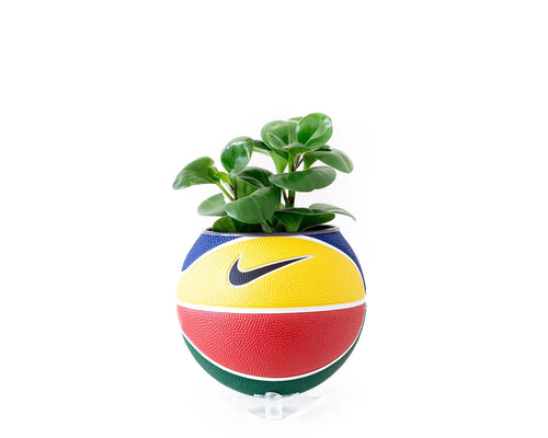 Nike Swoosh Mini